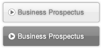 Business prospectus