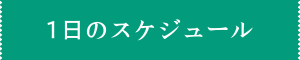 1日のスケジュール